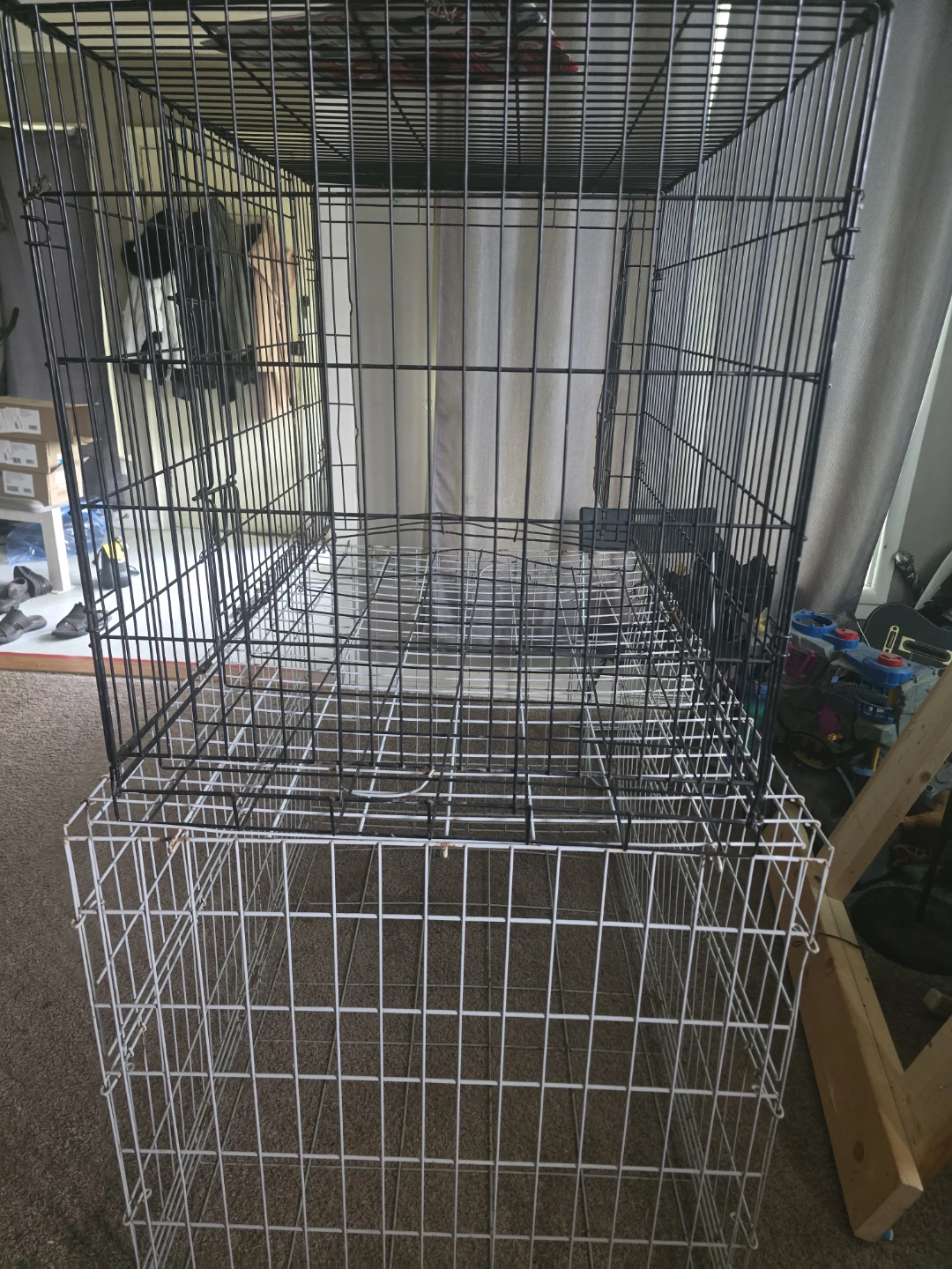 2 Metal dog crates