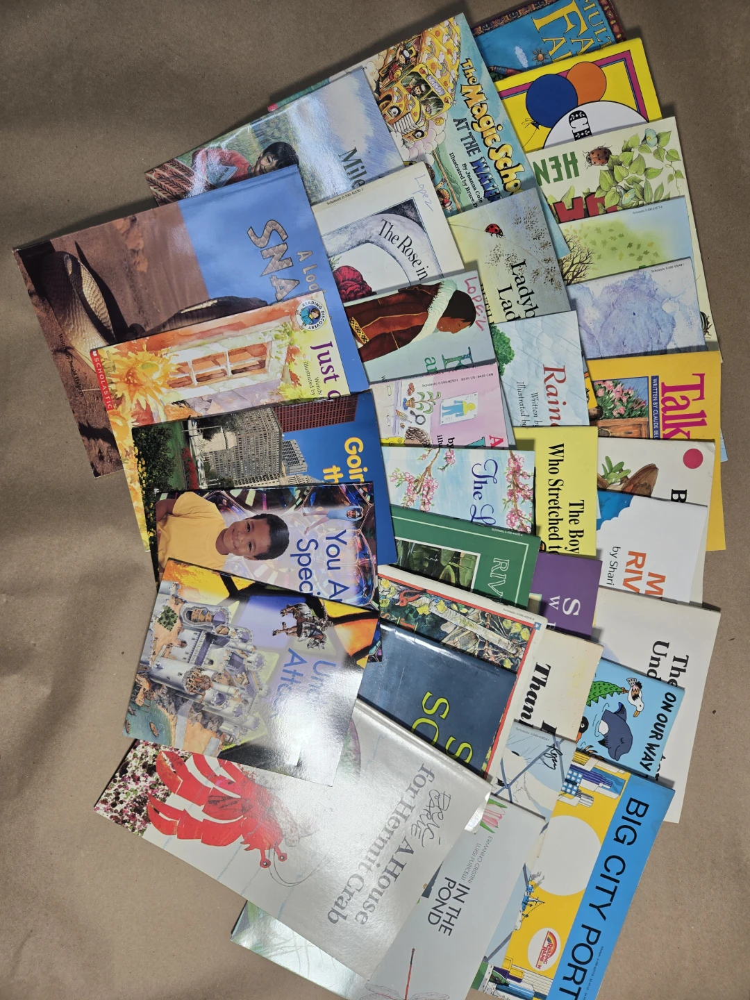 Scholastic Children's Picture Book Lot of 33 Paperback