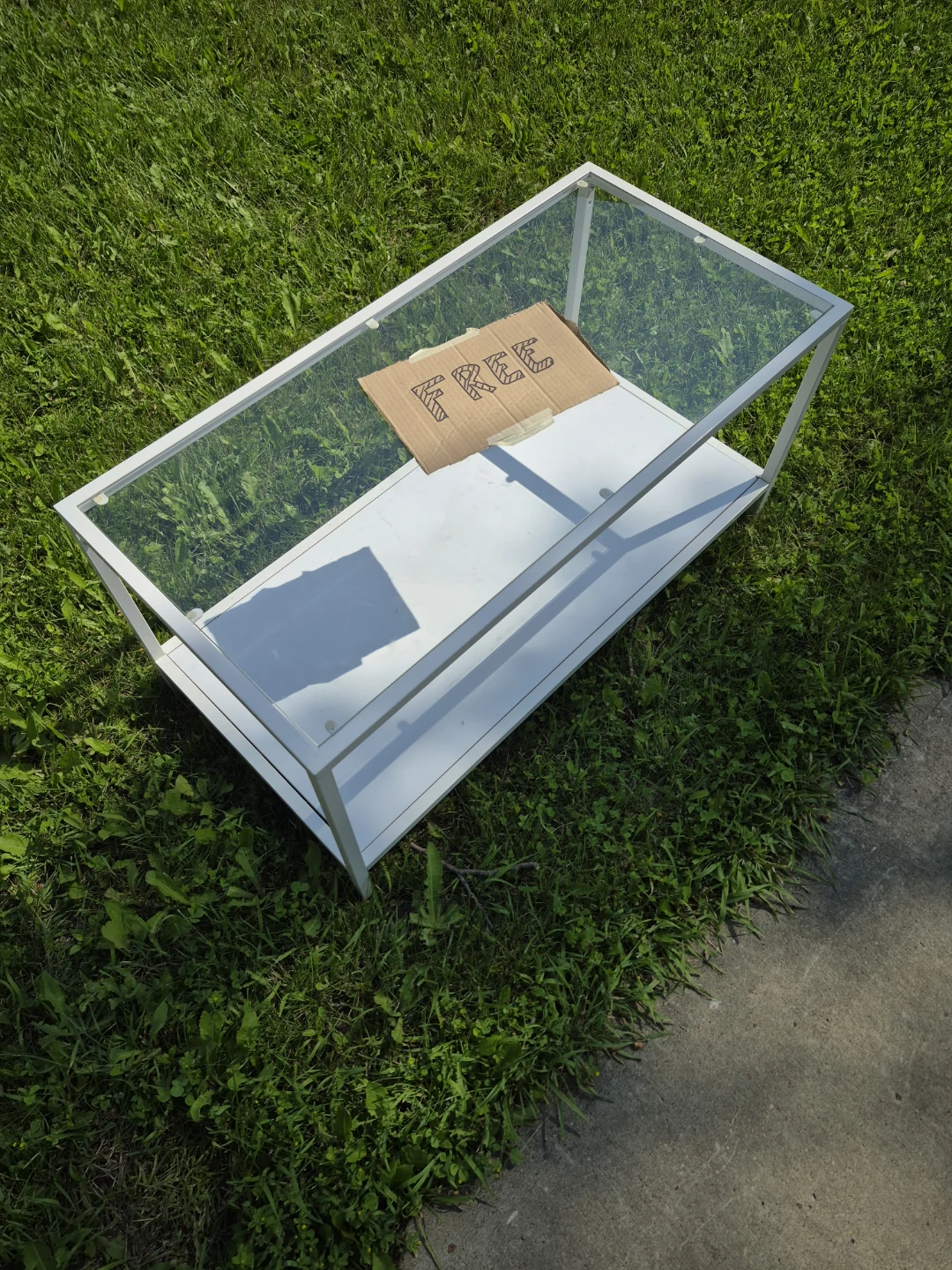 Glass and Metal Coffee Table