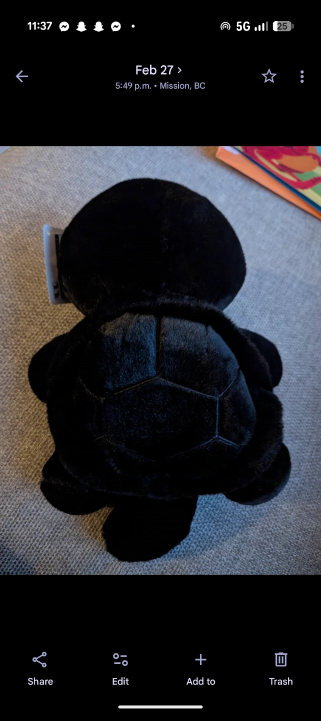 THUNDERBOLT PROJECT FRGMT & POKEMON TOKYO Black Plush - photo 3