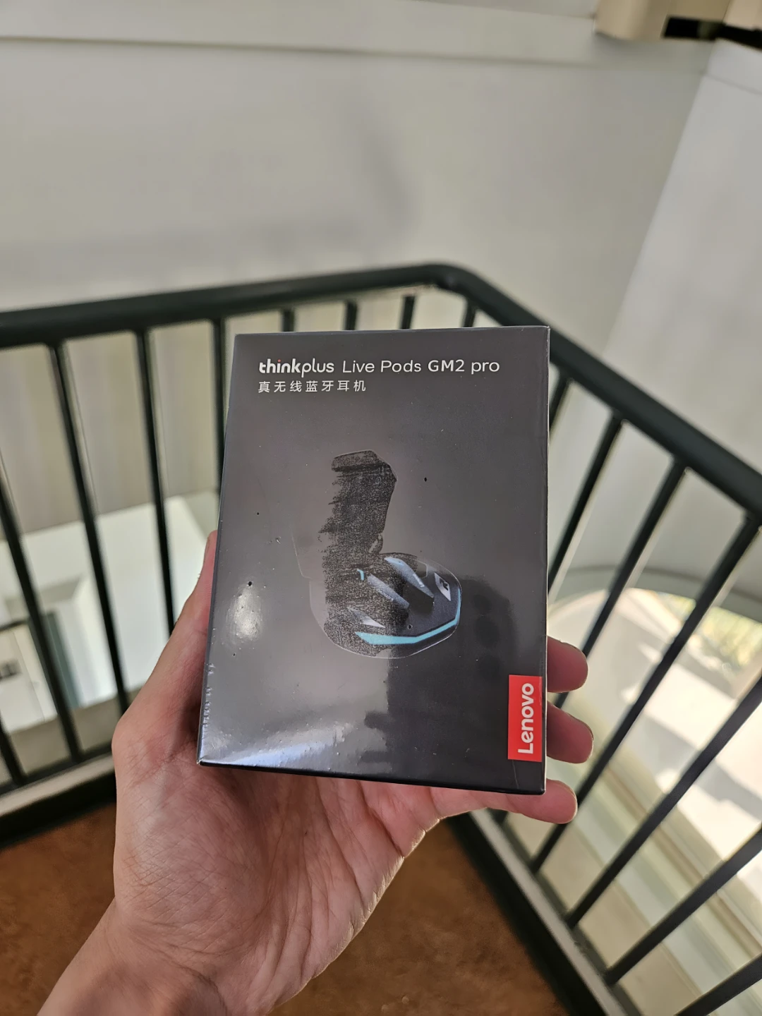 Professional Earphones (Lenovo)