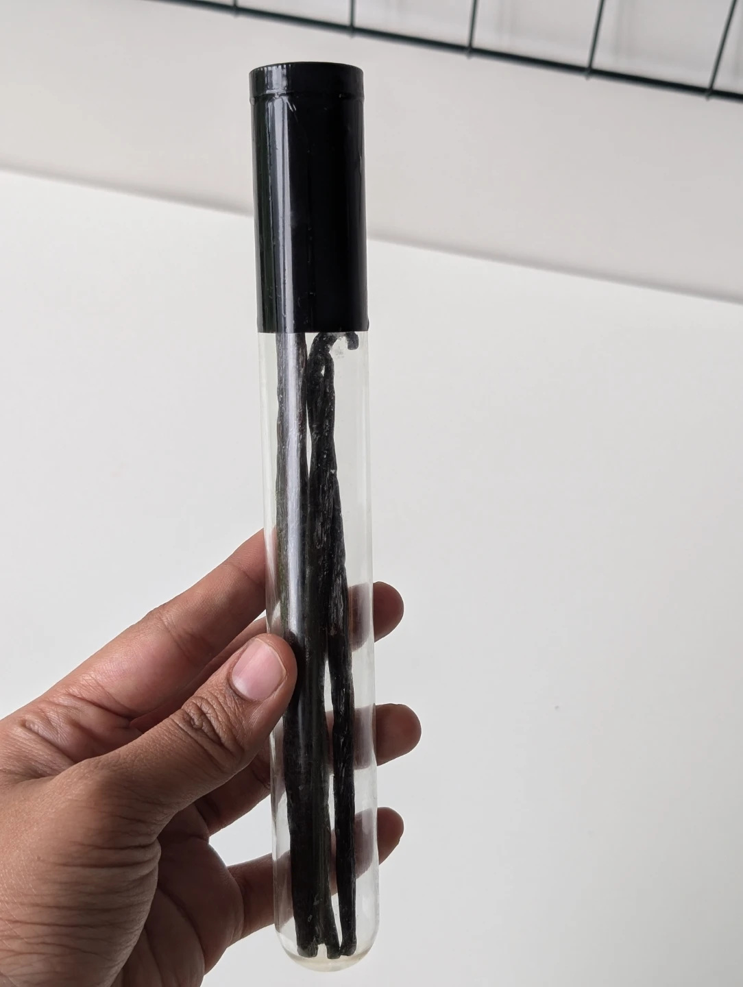 Vanilla Beans in Glass Tube