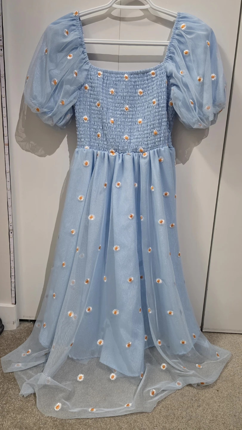Light Blue Daisy Dress