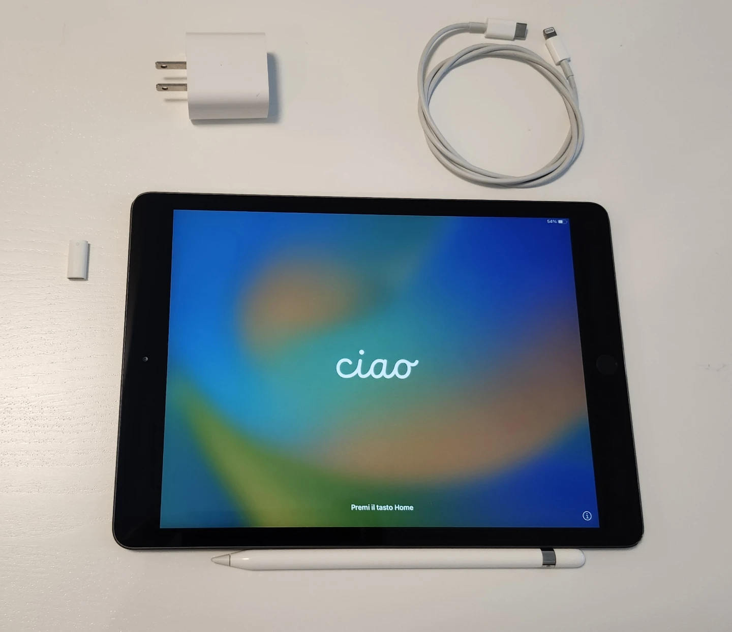 Apple iPad with Apple Pencil and Charger