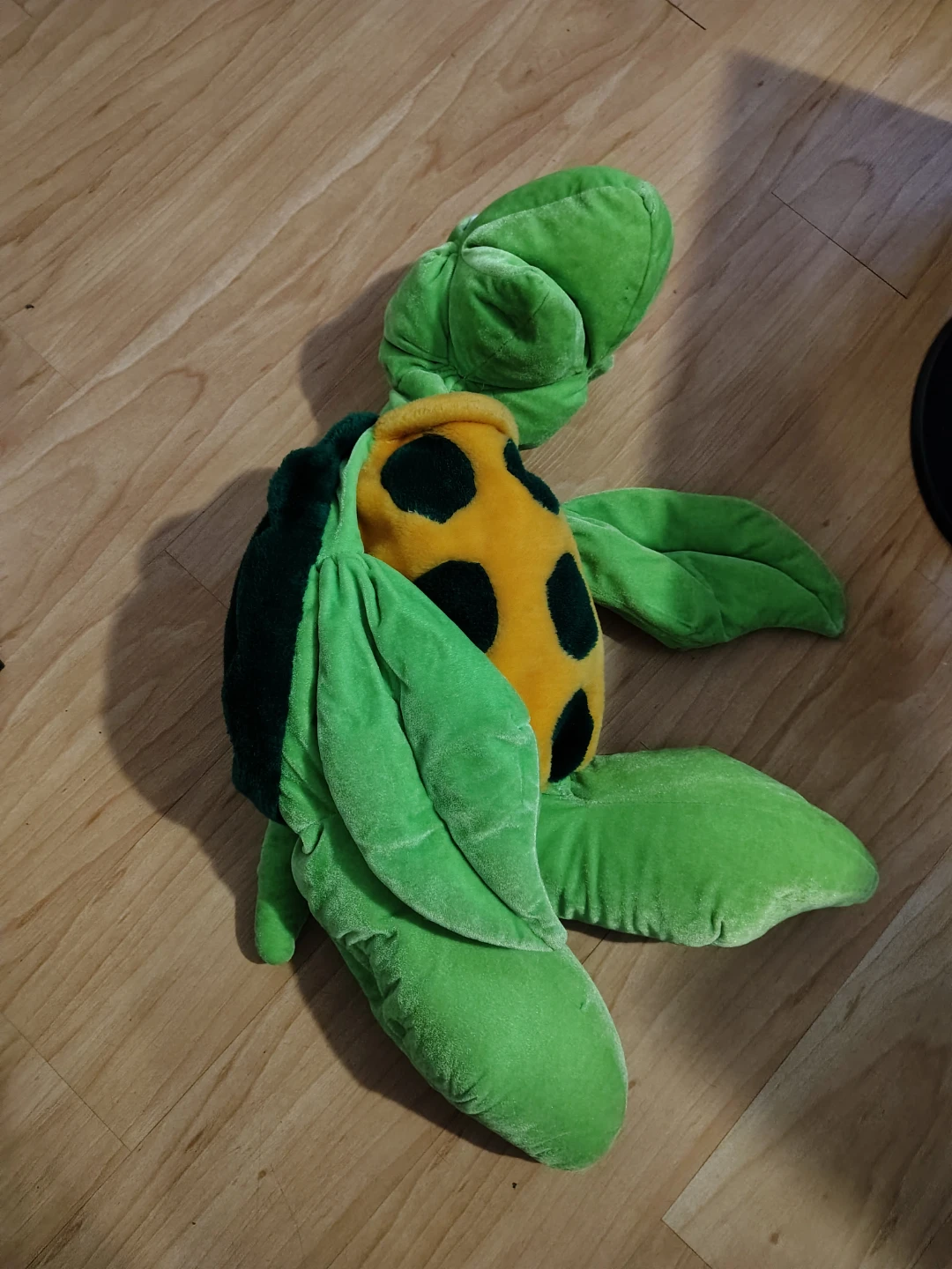 Floppy Stiffed Turtle