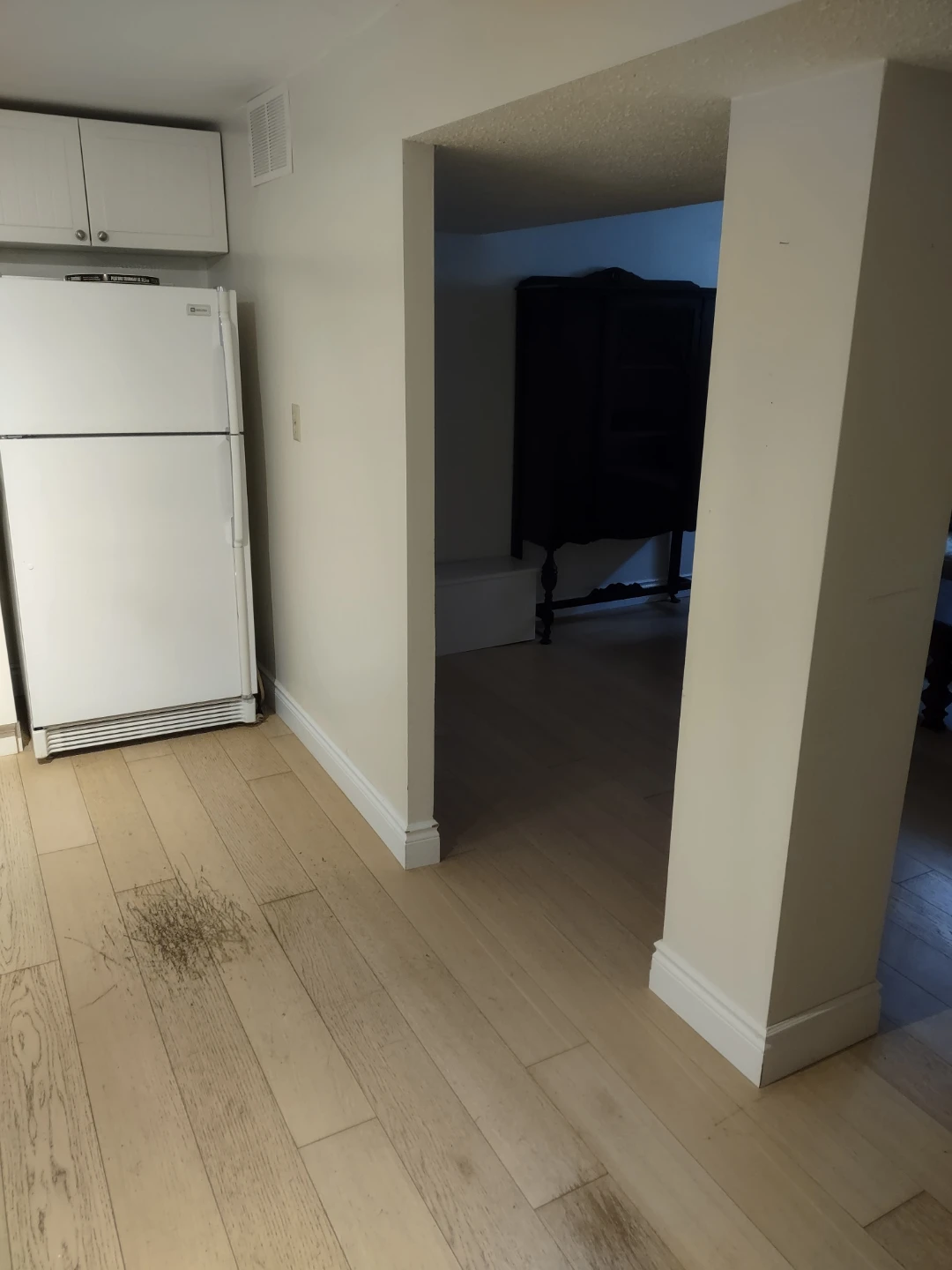 Alderwood Lower 1 Bedroom Apartment - photo 3