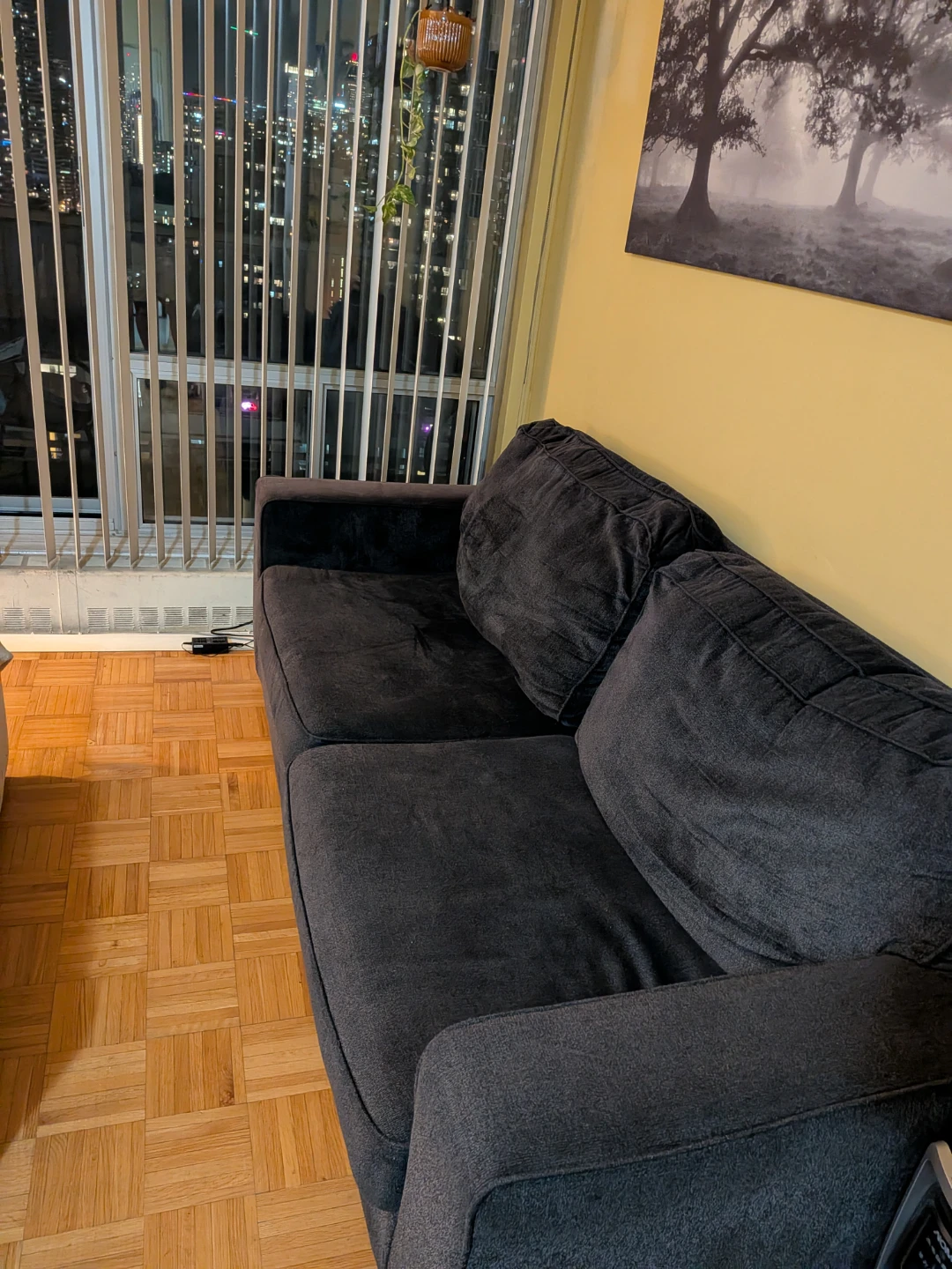 Moving out Special - Sofa Bed and Dinning Table
