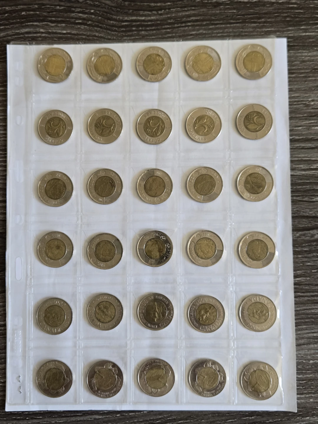 Canadian Toonies