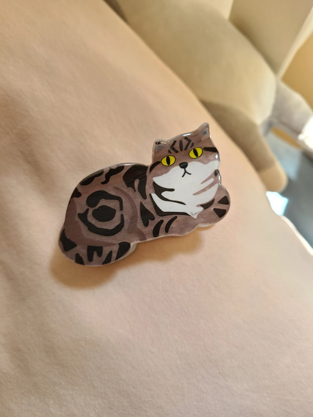 Cat Claw Hair Clip