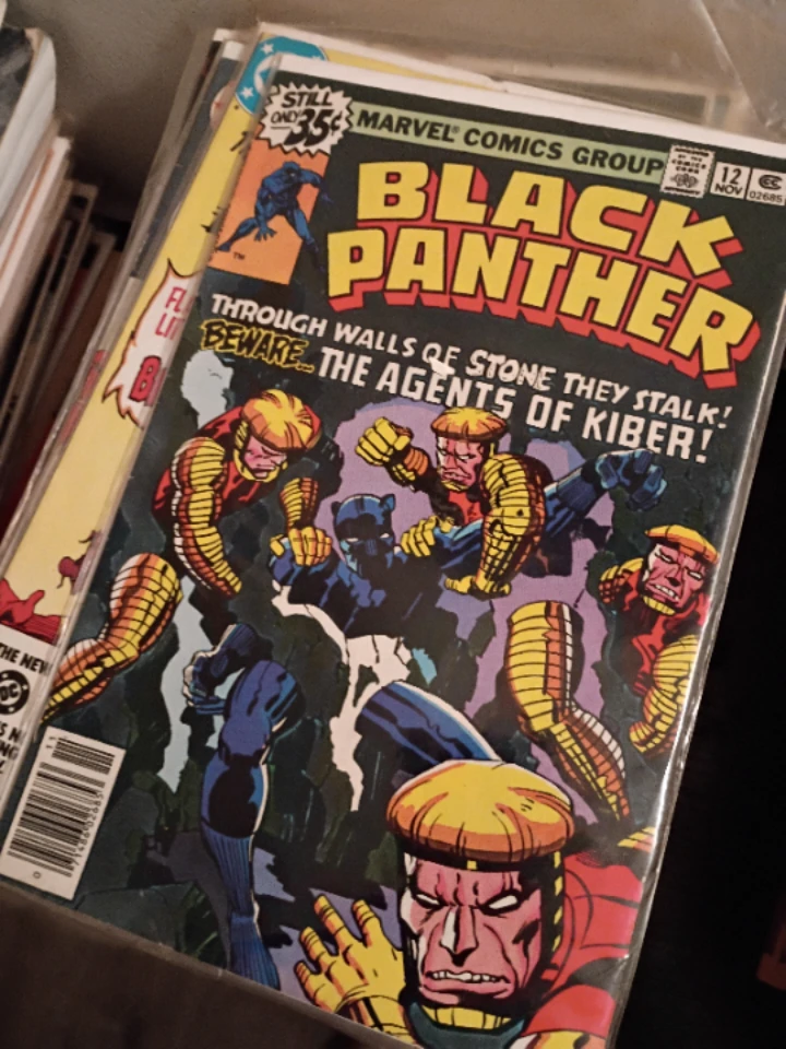 Marvel Comics Black Panther #12 Comic Book