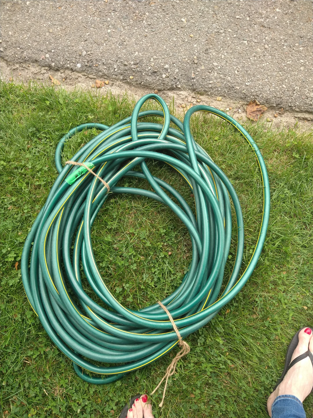 Green Garden Hose