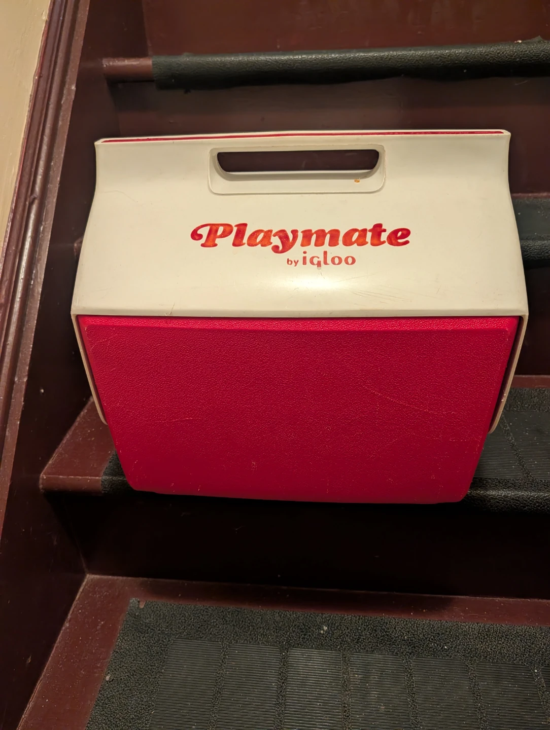 Igloo Playmate Cooler