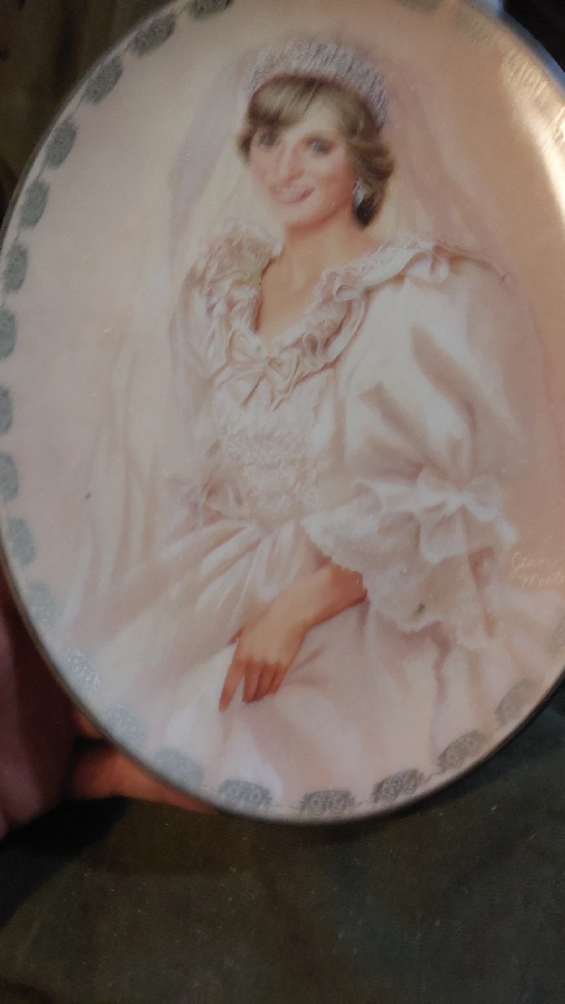 Princess diana collector plates