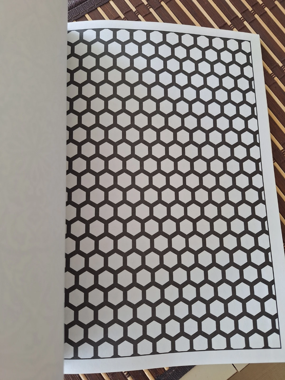 Everyone Loves Coloring: Patterns Adult Coloring Book - photo 5