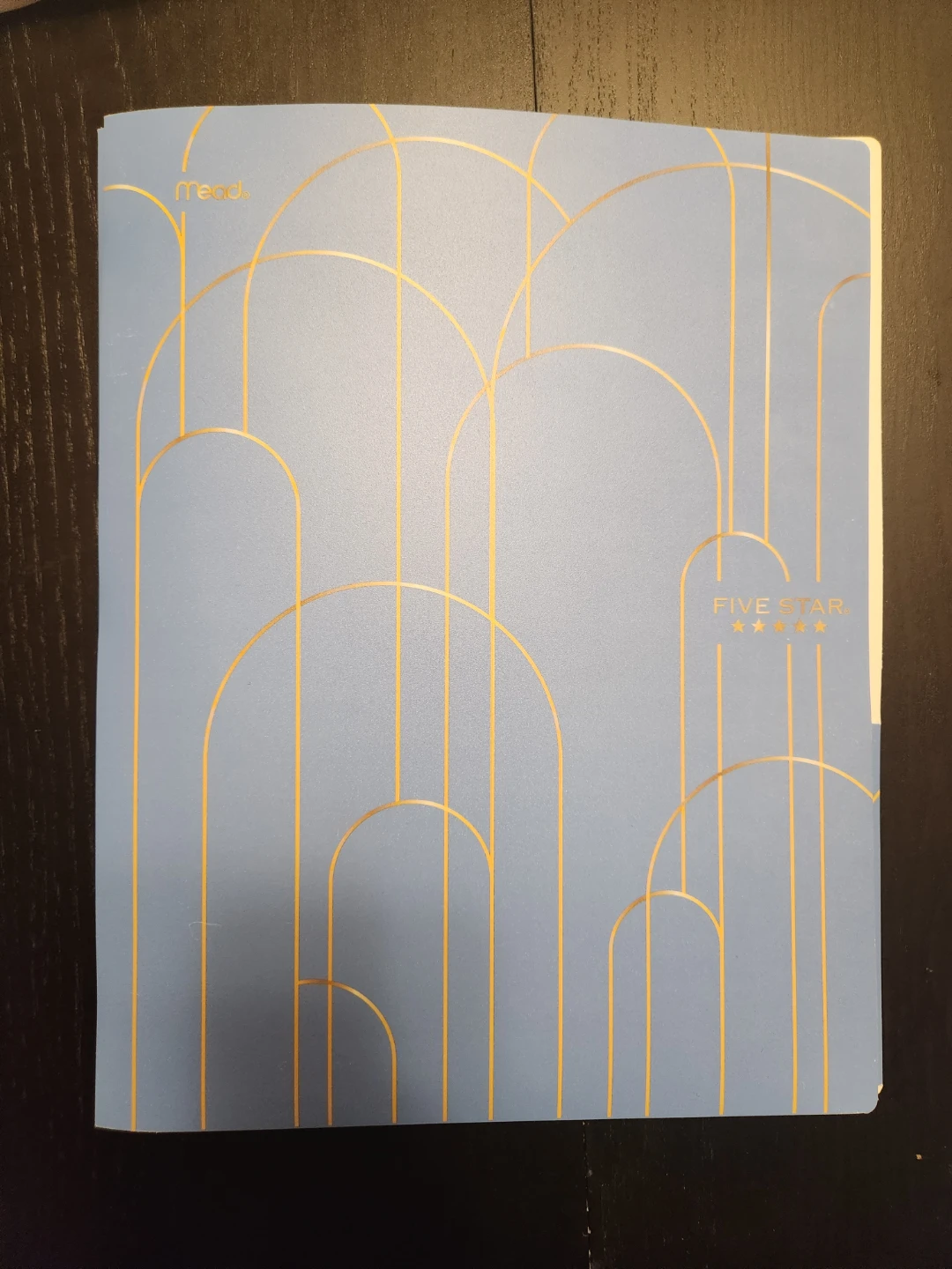 Five Star Pocket & Prongs Portfolio/folder