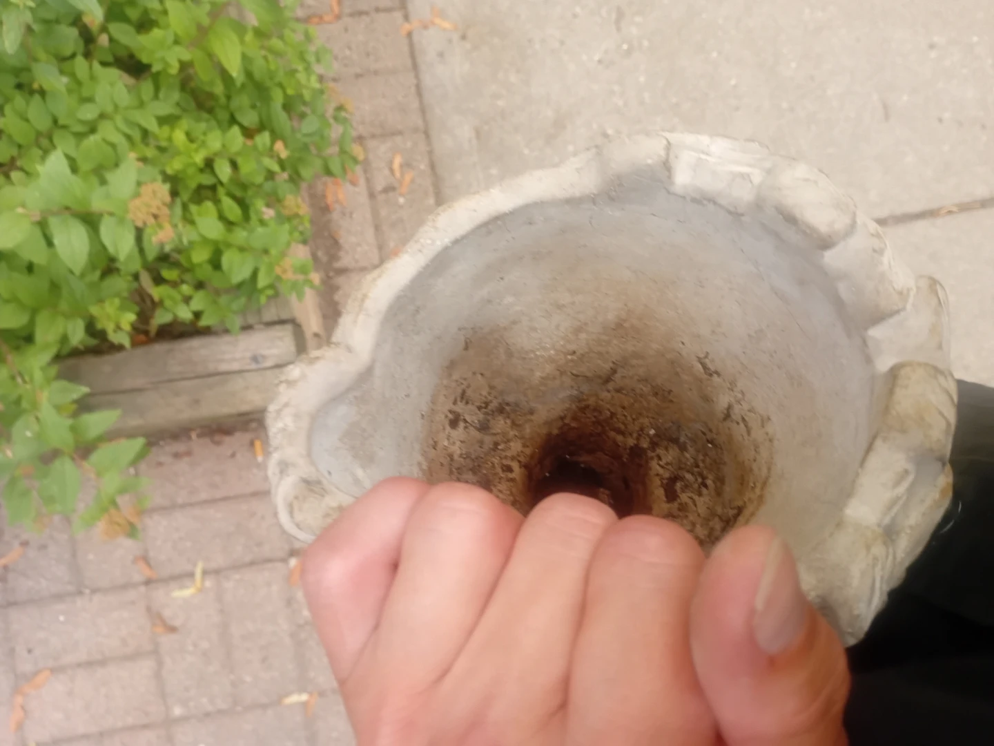 Concrete Bust Planter - photo 2