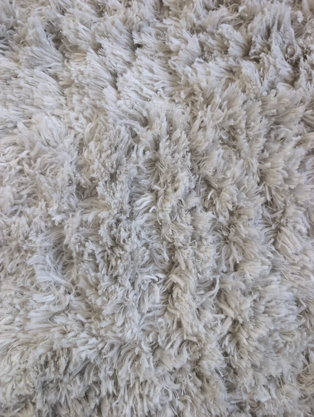 Safavieh Fluffy White shag Rug - photo 2