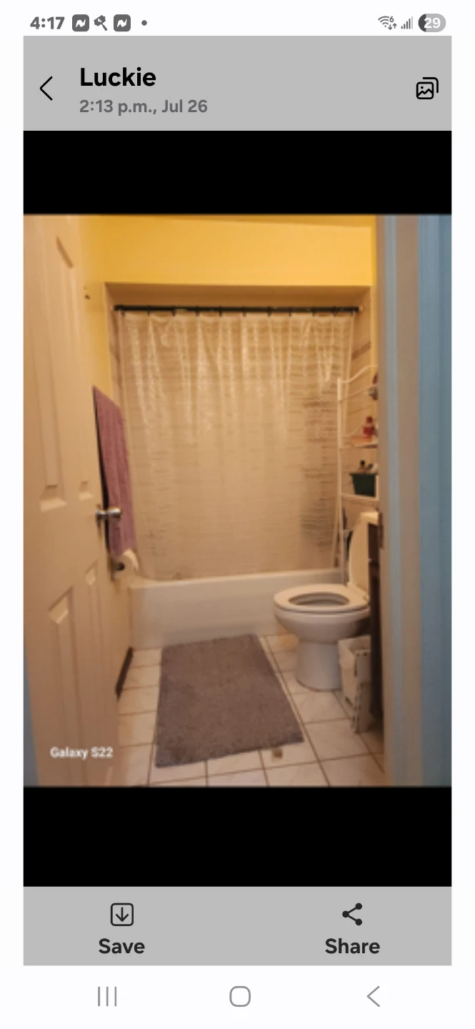 Furnished Room for rent available Sept 1. - photo 4