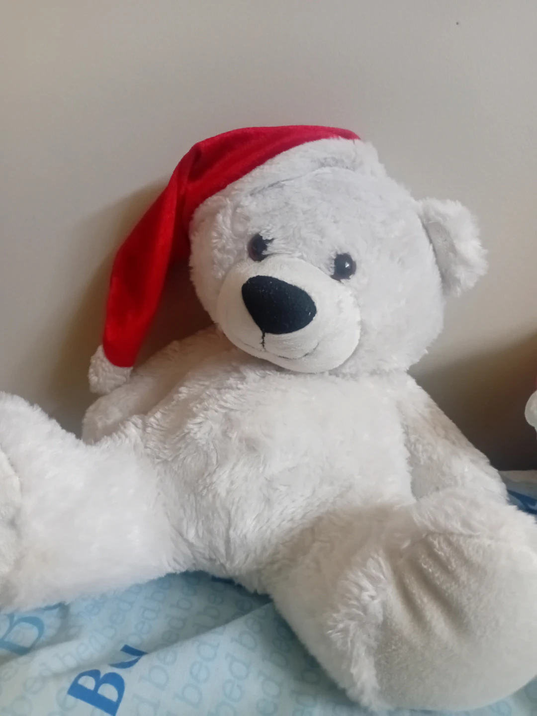 White Teddy Bear with Santa Hat