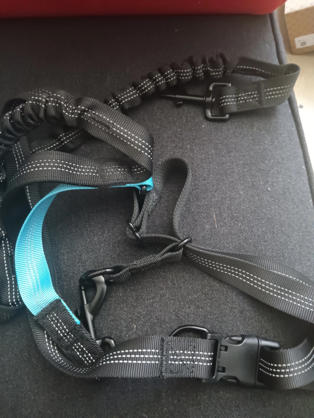 Hands-Free Dog Leash