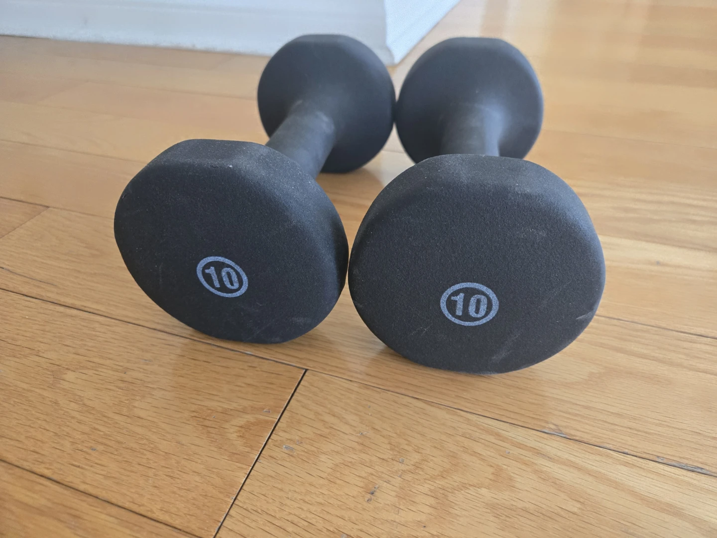 Pair of 10lb Dumbbells