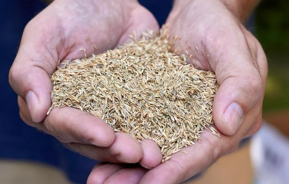 Scotts Turf Builder Grass Seed - All Purpose Mix - photo 3