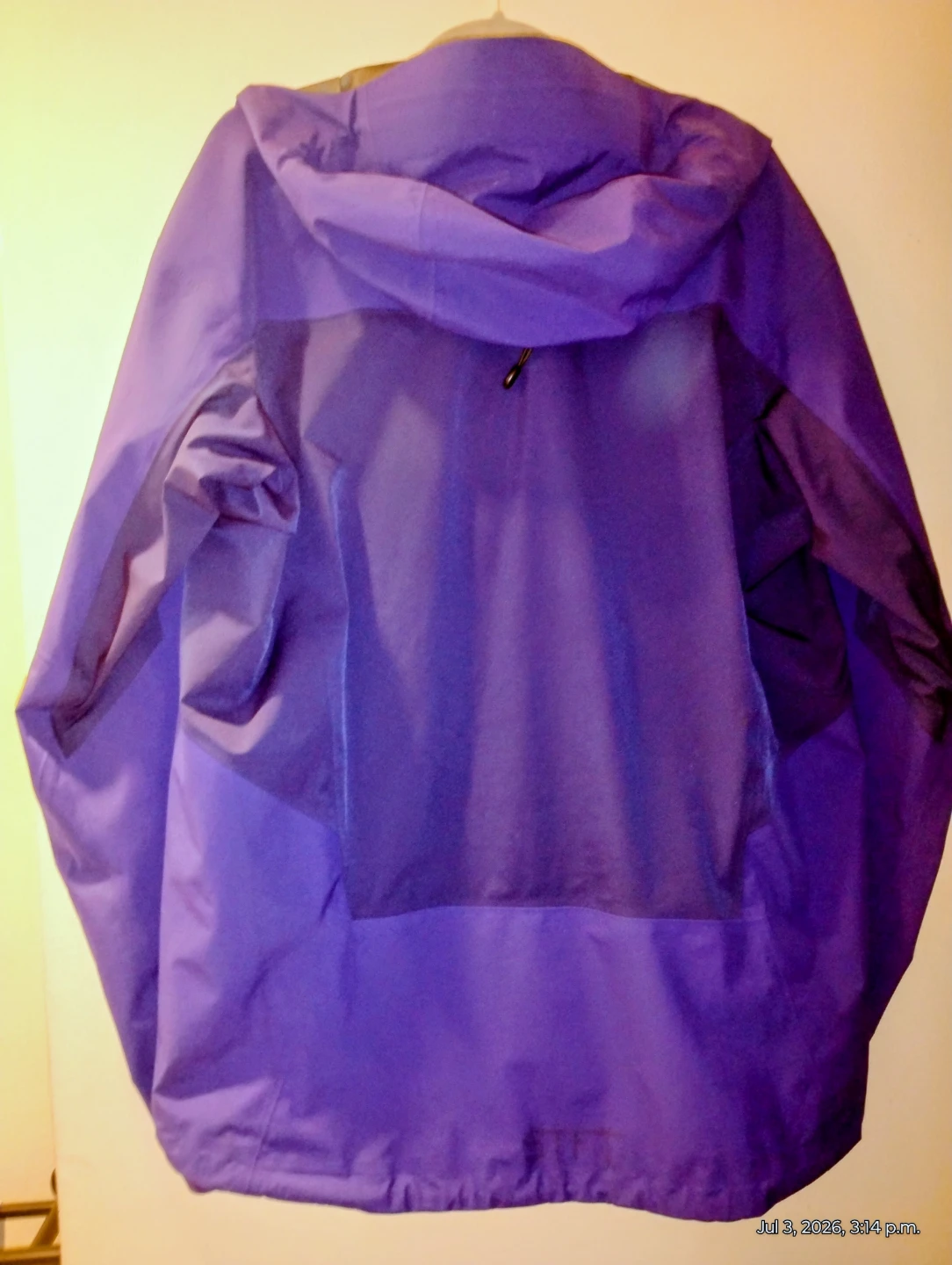 Arc'teryx GORE-TEX Jacket - Men's Large - photo 2
