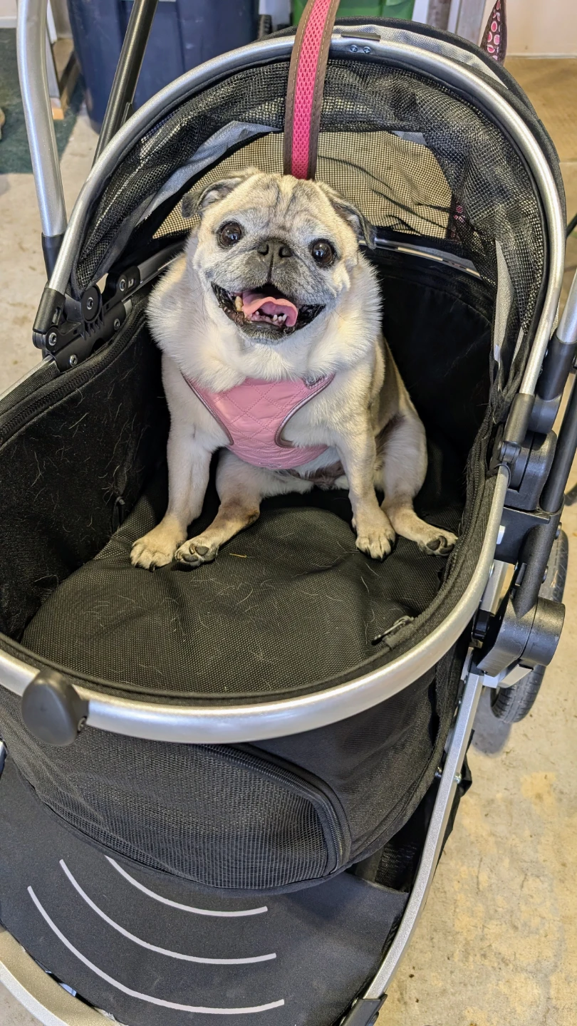Pet Stroller - photo 3