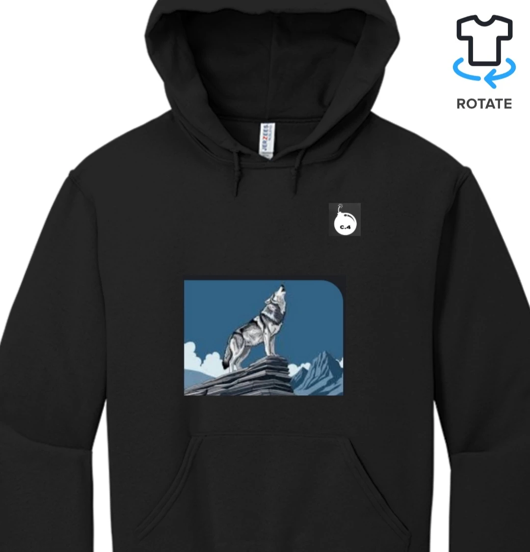C4 Hoodie stay fly