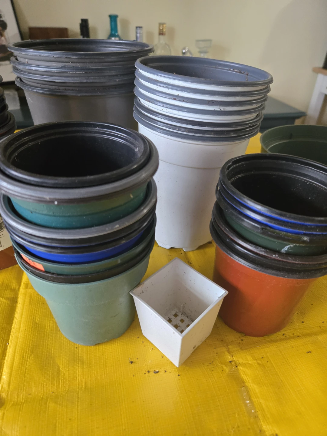 Assortment of plastic nursery pots - photo 2