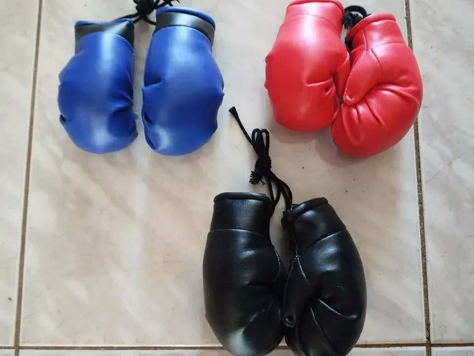 Mini Boxing Gloves Customizable