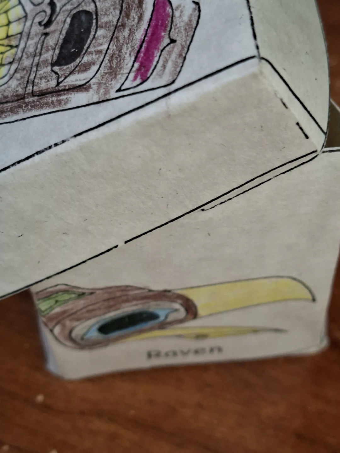 Collection of Prehistoric Teeth and Shells in Decorative Box - photo 4