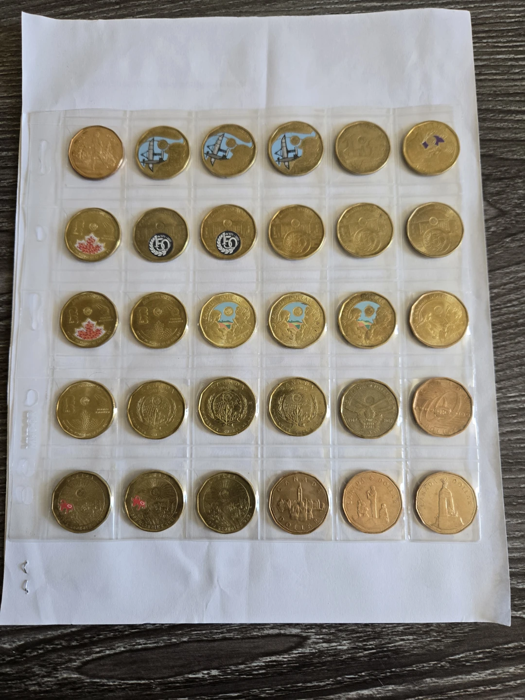 Collection of Canadian Loonie Coins