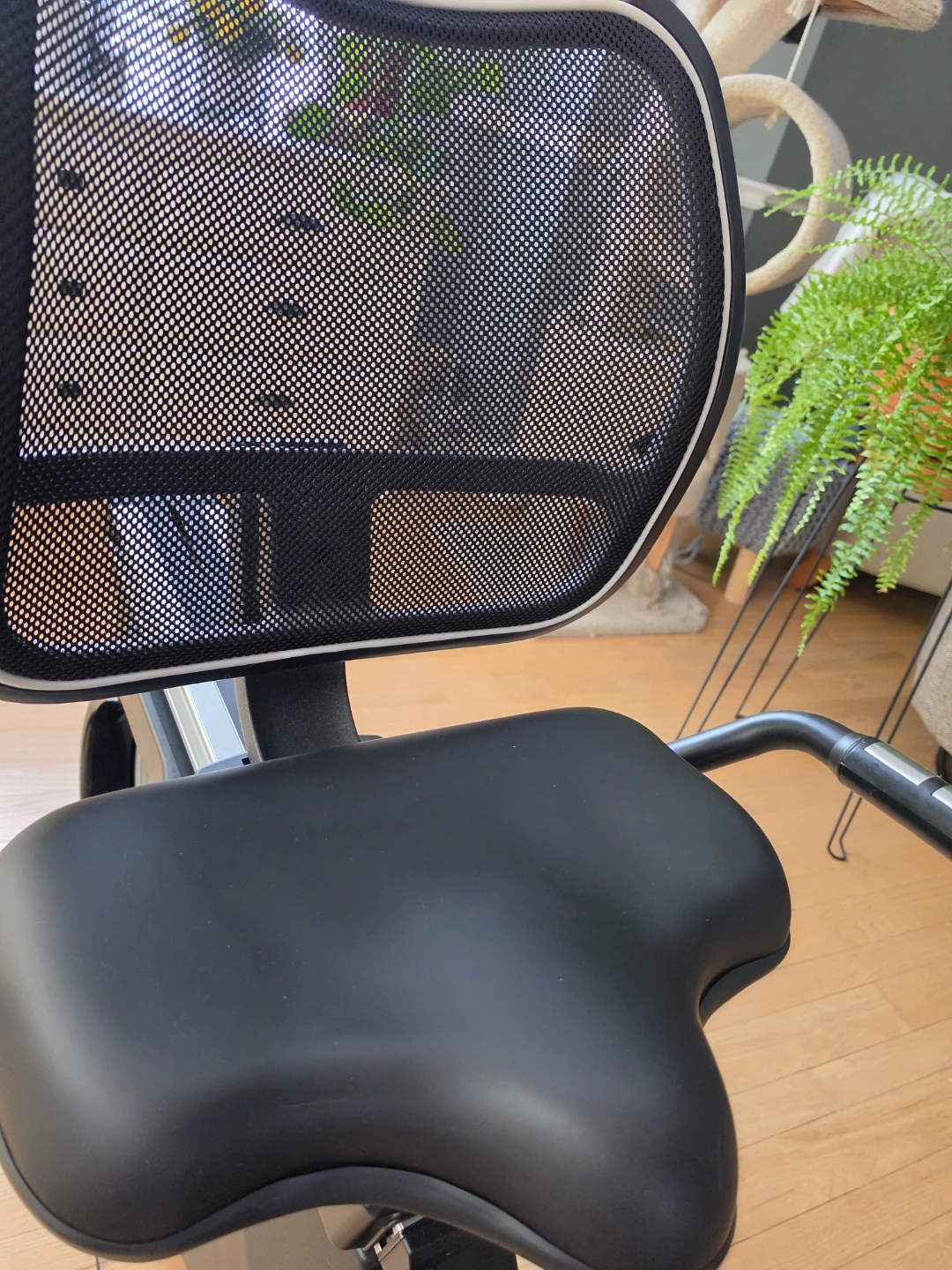 SPORTOP R60 Recumbent Exercise Bike