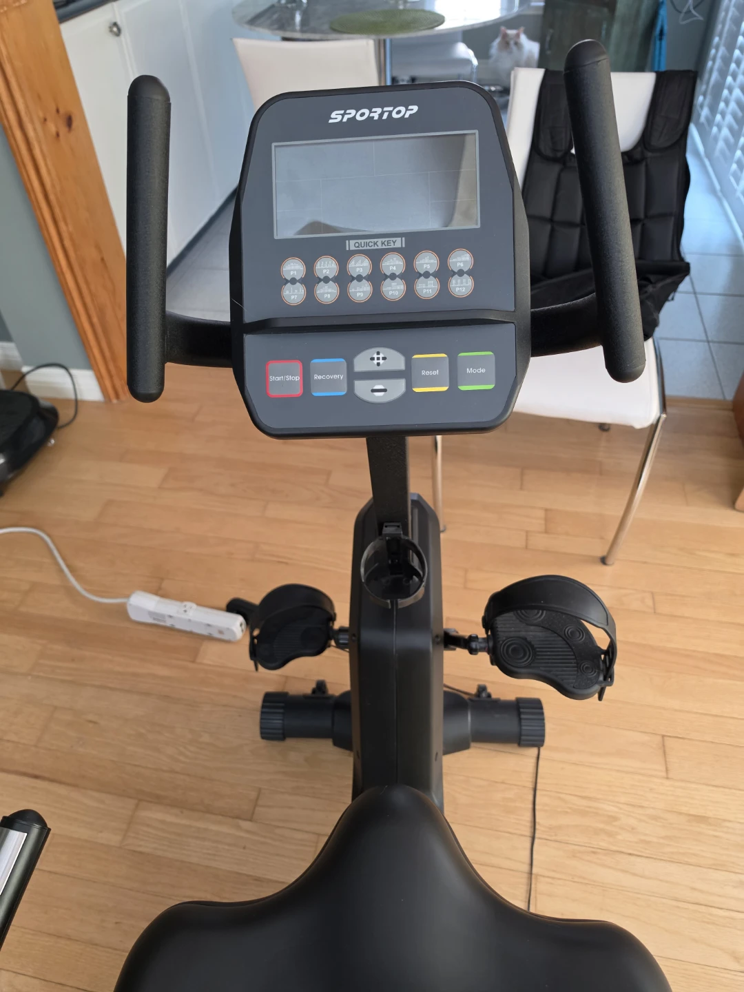 SPORTOP R60 Recumbent Exercise Bike - photo 3