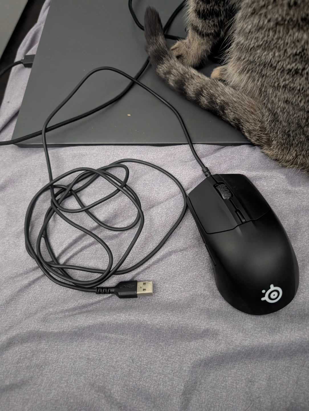 SteelSeries Rival 3 Used (No packaging) - photo 3