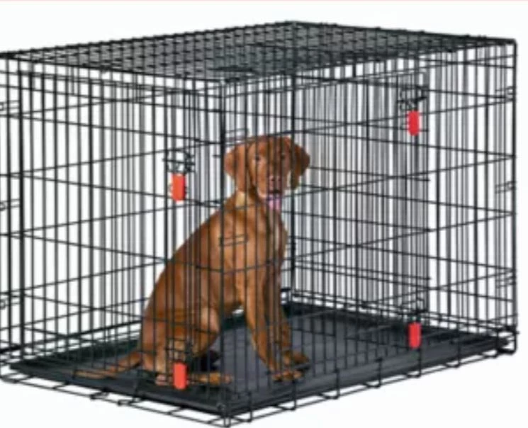 Like-new KONG Ultra-Strong 48-inch extra-large wire dog crate