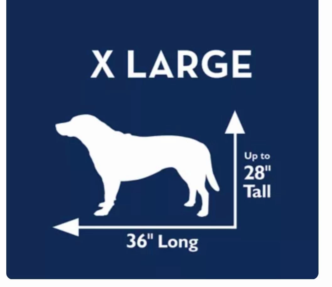 Like-new KONG Ultra-Strong 48-inch extra-large wire dog crate - photo 4
