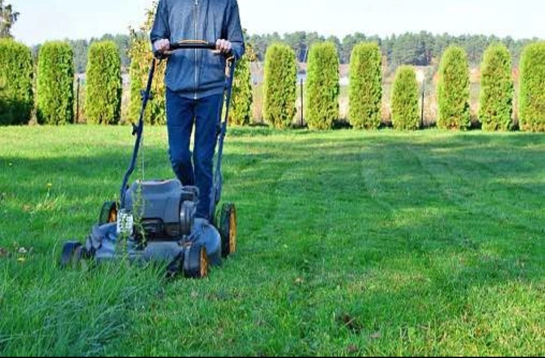 Grass cutting service - photo 3