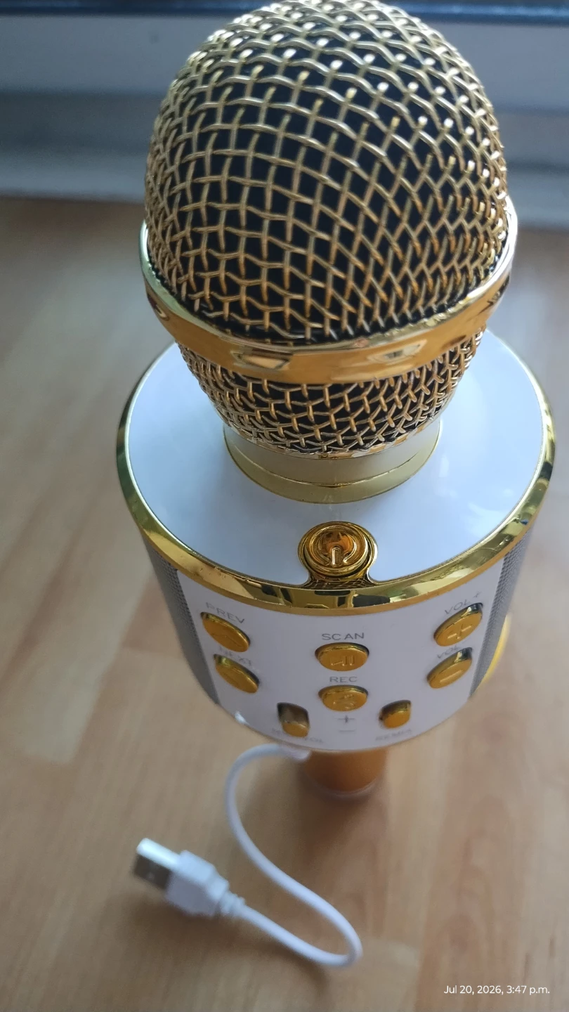 WS-858 Wireless Bluetooth Karaoke Microphone
