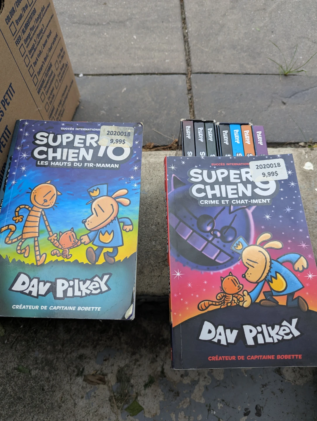 Super Chien Book Collection,French book, Dog man