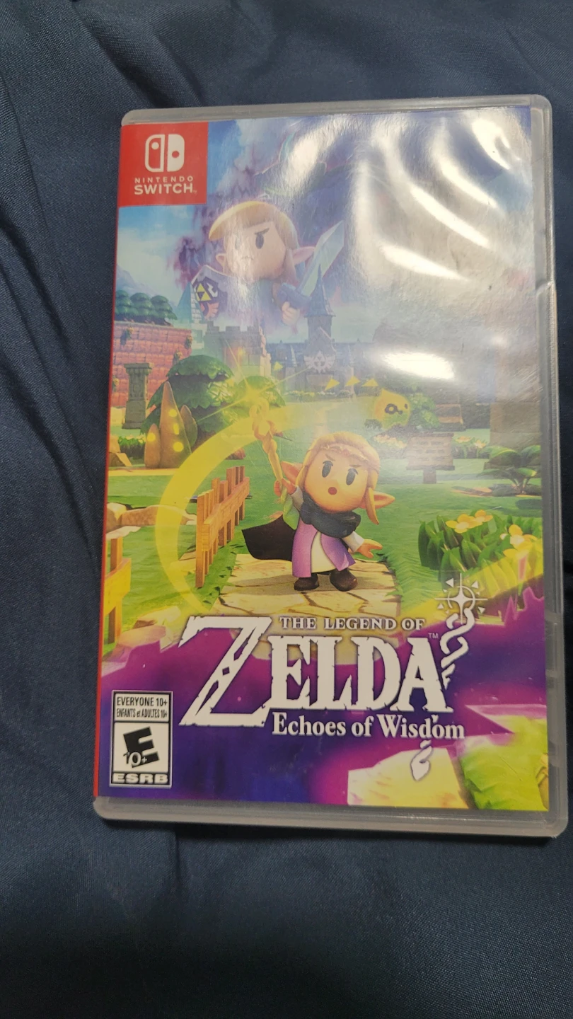 The Legend of Zelda: Echoes of Wisdom Nintendo Switch Game