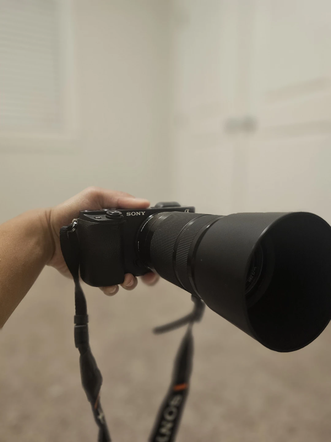 Sony Alpha a6400 Mirrorless Camera