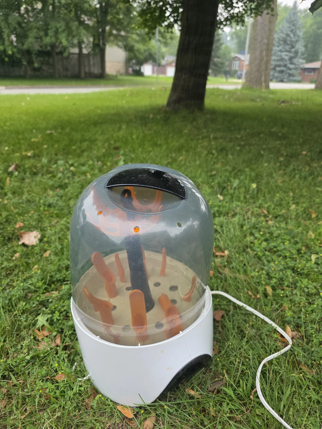Dr. Brown's Bottle Sterilizer - photo 2