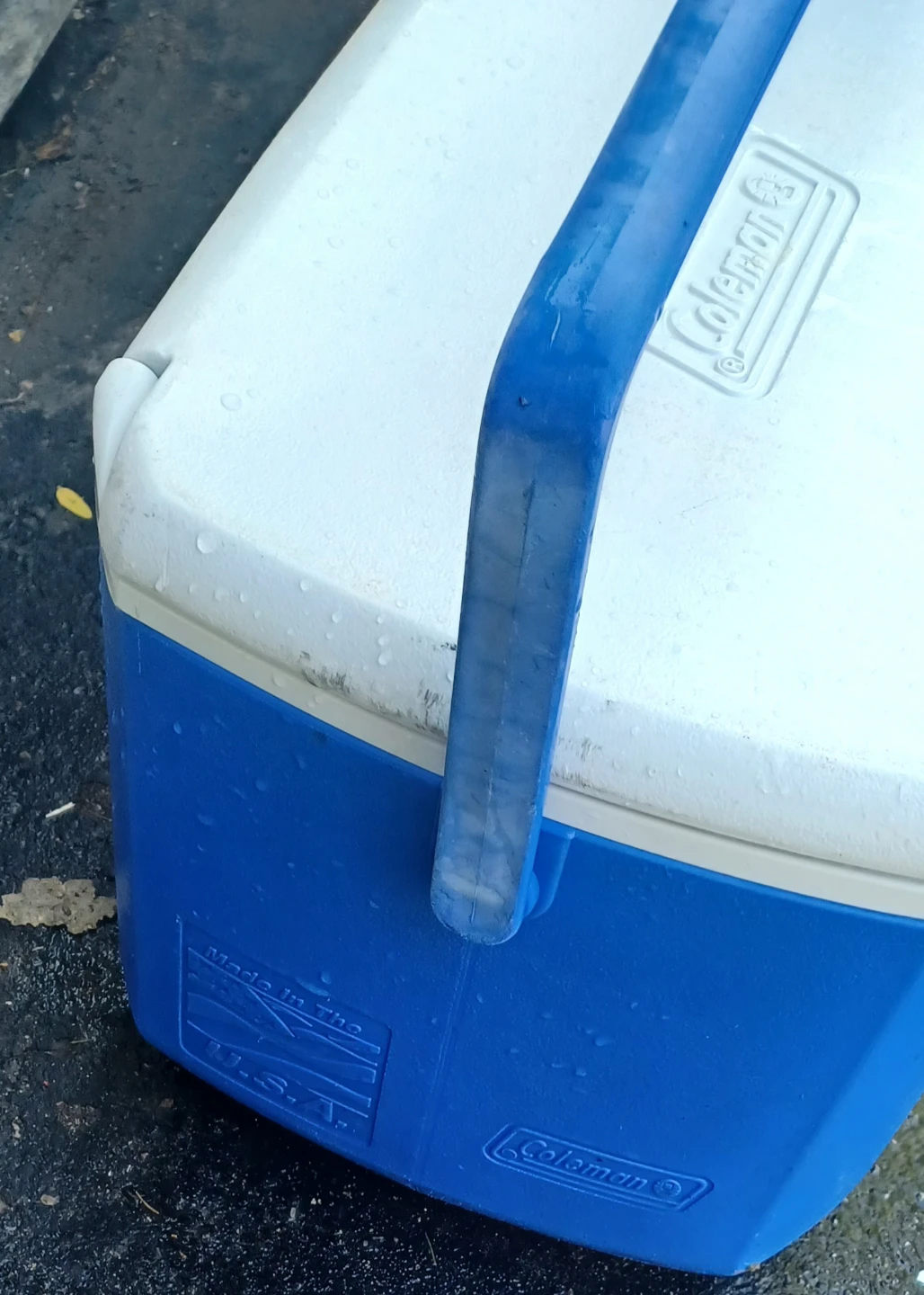 Coleman Blue Coolers (Set of 2) - photo 5