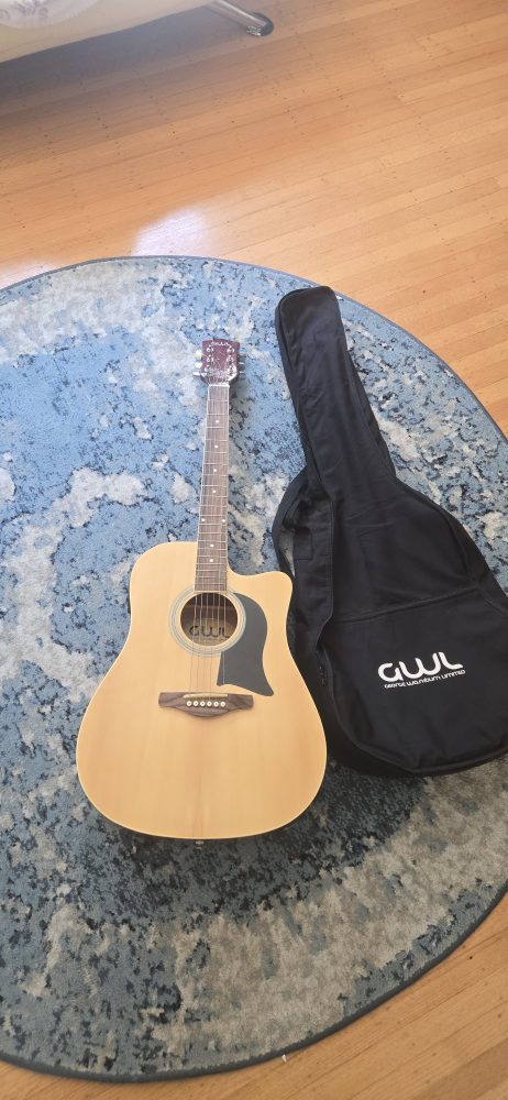 George Washburn Limited Acoustic Electric Guitar + Gig Bag