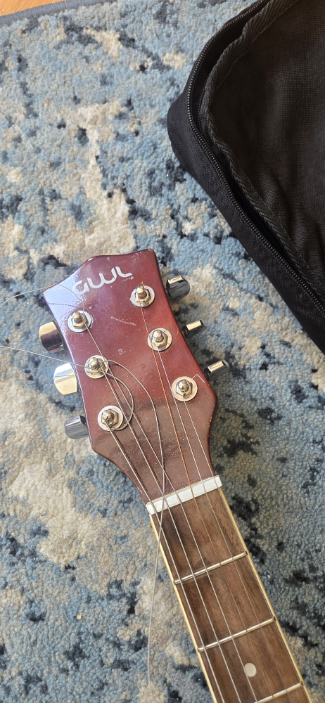 George Washburn Limited Acoustic Electric Guitar + Gig Bag - photo 2