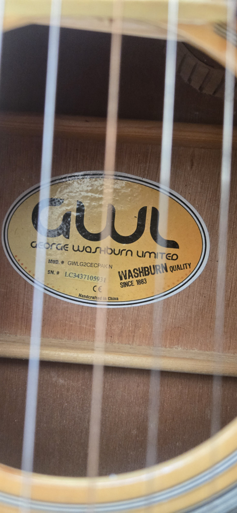 George Washburn Limited Acoustic Electric Guitar + Gig Bag - photo 4