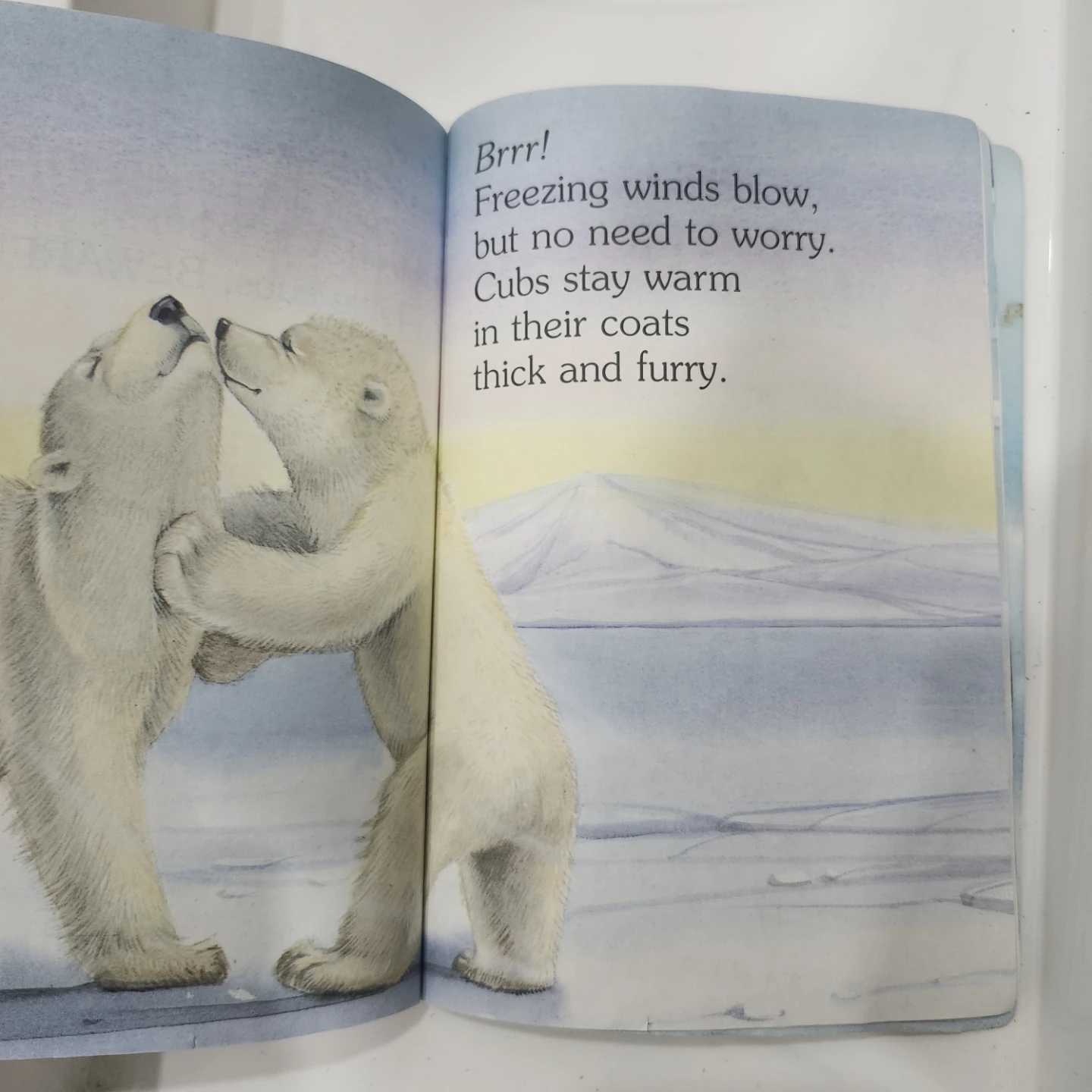 Free polar bear kids book - photo 3