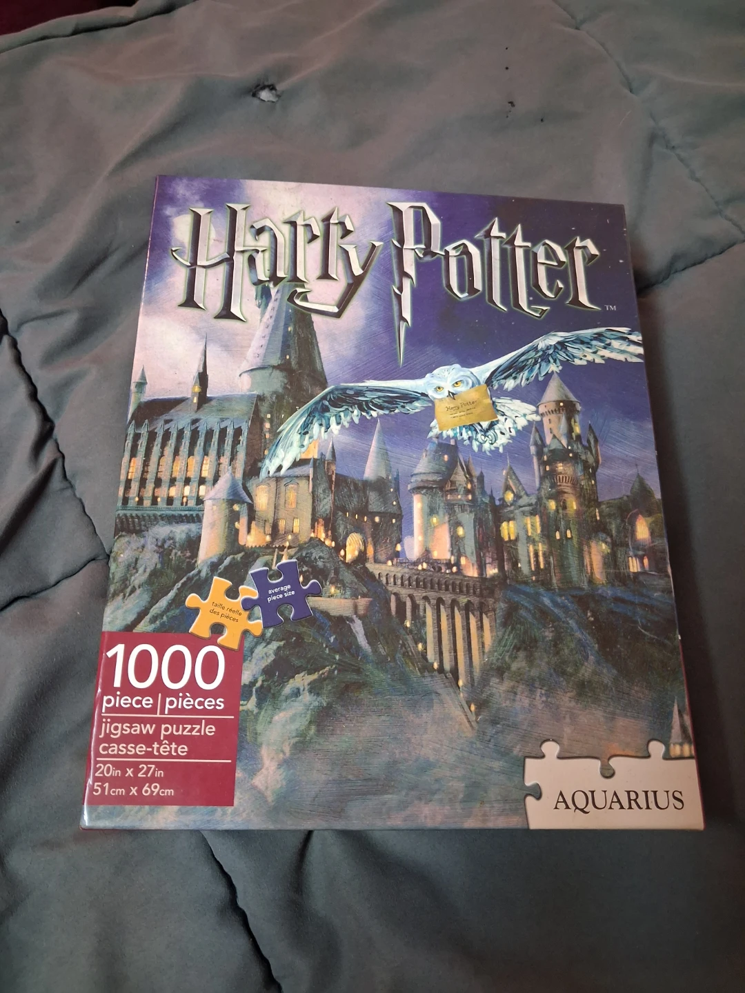 Harry Potter 1000 Piece Jigsaw Puzzle by Aquarius